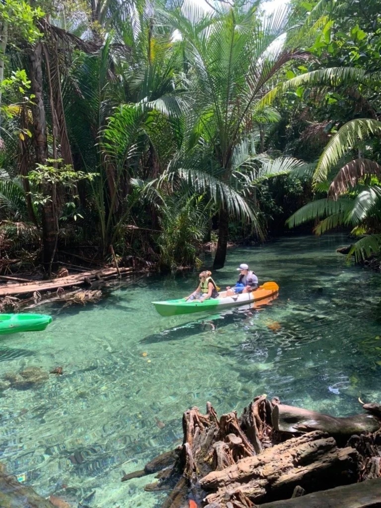 พายเรือคายัคในคลองน้ำใส กระบี่